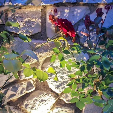 Pelagias Garden House Holiday home Kassiopi
